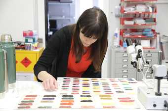 a woman sits and looks at colour swatches